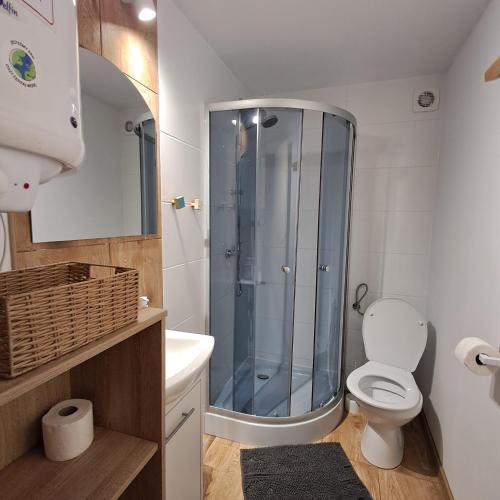 a bathroom with a shower and a toilet and a sink at Ostoja Lipiny in Sompolno
