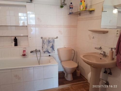 a bathroom with a toilet and a sink and a tub at Mary in Cheb