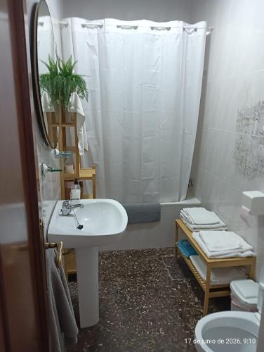 a bathroom with a white sink and a shower at Alojamiento Rural La Granja in La Cerradura