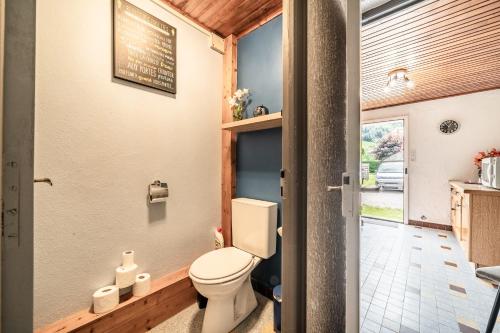 a bathroom with a toilet in a house at Le petit Chalet in Morzine