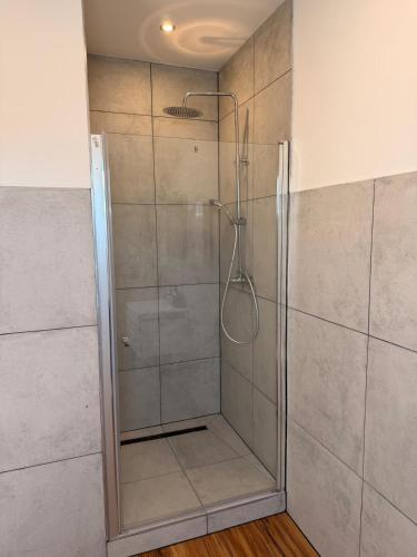 a shower with a glass door in a bathroom at Casa del Mondo 4 in Sankt Aldegund