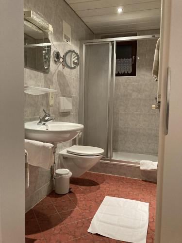 a bathroom with a toilet and a sink and a shower at Appartementhaus Grocke in Wagrain