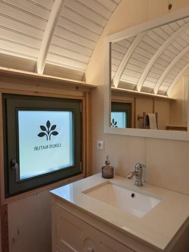 a bathroom with a sink and a mirror at Schloss Sigrön Zirkuswagen in Bad Wilsnack