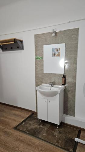 a bathroom with a sink and a mirror at Hotel Sir Gara de Nord in Bucharest