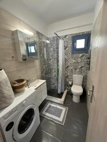 a bathroom with a washing machine and a toilet at Aegean Mirror Andros in Apróvaton