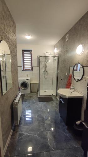a bathroom with a shower and a sink at Vikos-Spa in Rzeczyca