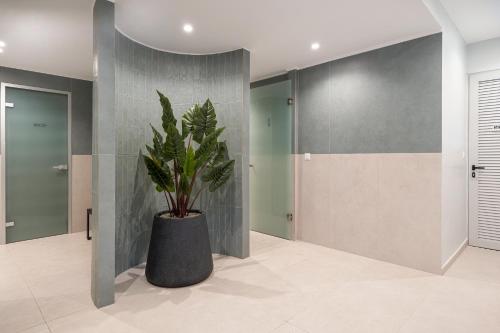 a bathroom with a potted plant in a room at Sunrise Village Hotel - All Inclusive in Platanias