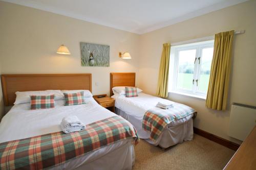 a bedroom with two beds and a window at Llety Ceiro Guesthouse in Aberystwyth