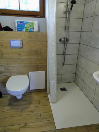 a bathroom with a toilet and a shower at Chatka w gorach in Lewin Kłodzki