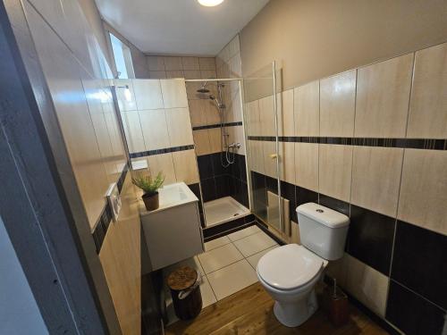 a bathroom with a toilet and a shower at le chale heureux in Gérardmer