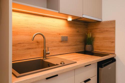 a kitchen with a sink and a wooden wall at Erics Apartment in Skala Potamias