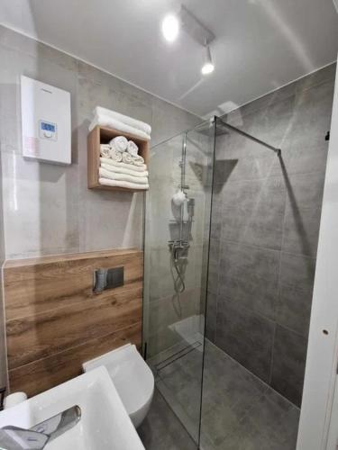 a bathroom with a shower and a toilet and a sink at Apartament Konecka 2J in Sielpia Wielka