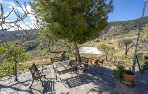a patio with two benches and a table and a tree at La Curiosa in Laroya