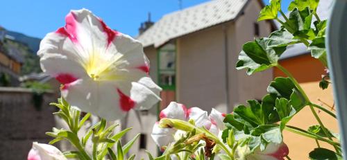 a white and red flower in front of a house at Maison à Tour Briançon in Briançon