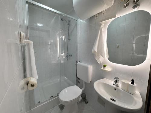 a bathroom with a toilet and a sink and a shower at Apartments Bernarda 1 in Nin