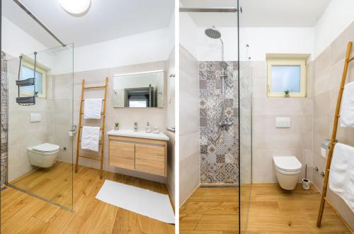 a bathroom with a shower and a sink and a toilet at Villa Bartol in Trviž