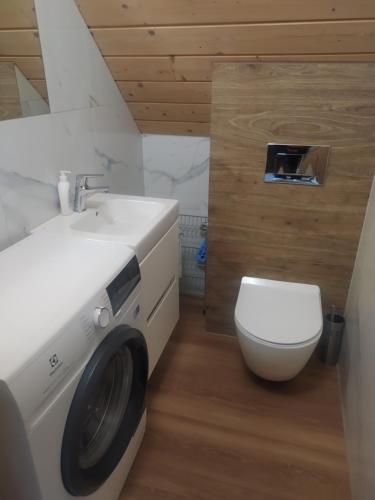 a bathroom with a washing machine and a toilet at Dom letniskowy Krzyś in Przejma Wielka