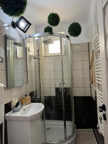 a bathroom with a shower and a sink at Ultracentral style apartment! in Craiova