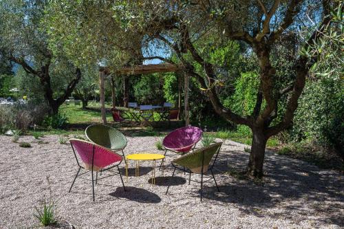 a group of chairs and a table under a tree at Zuccherini in Buriano