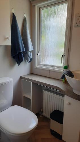 a bathroom with a white toilet and a window at Luiwagen in Raalte