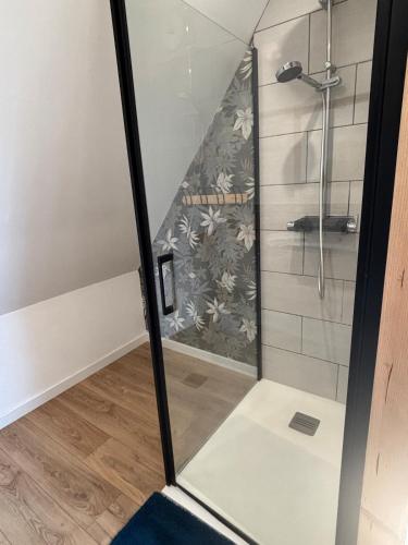 a walk in shower with a glass door in a bathroom at La clé du Temps in Falaise