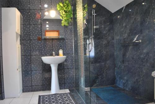 a black tiled bathroom with a sink and a shower at Agroturystyka nad Sanem in Dydnia