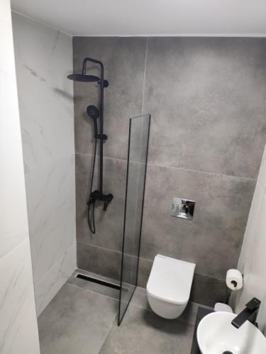 a bathroom with a shower and a toilet and a sink at Studio Eleni in Plomari