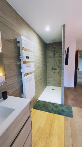 a bathroom with a shower and a sink at Le moulin de la hamelle in Yoncq