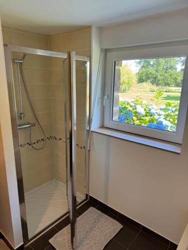 a bathroom with a shower and a window at Les Gîtes des Portes de Bretagne in La Chapelle-Saint-Aubert