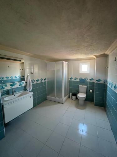a bathroom with a toilet and a sink and a shower at Buena Vista Hotel&Restaurant in Marmaris