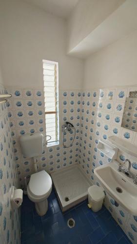 a blue and white bathroom with a toilet and a sink at Achilleion-Edipsos in Loutra Edipsou