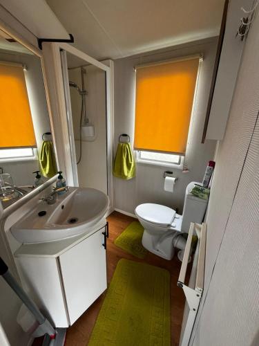 a bathroom with a white sink and a toilet at Izabela's Caravan - Caravan 261 in Saint Osyth
