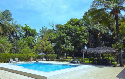 a swimming pool in a yard with chairs and trees at Tendinkoto Lodge in Sanyang