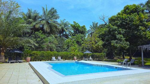 a swimming pool in a yard with chairs and trees at Tendinkoto Lodge in Sanyang
