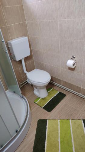 a bathroom with a toilet and a tub and a sink at Casa Madalina in Săpânța
