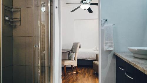 a bathroom with a shower and a ceiling fan at 314 on Clark Guest House in Pretoria