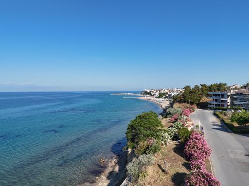 SEA LA VIE LUXURY Apartments