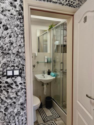 a bathroom with a toilet and a sink at Sarajevo, Stari Grad, Apartment in Sarajevo