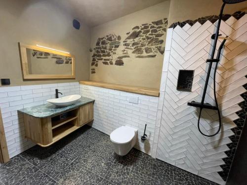 a bathroom with a toilet and a sink and a shower at Erbeskopf Gipfelquartier in Morbach
