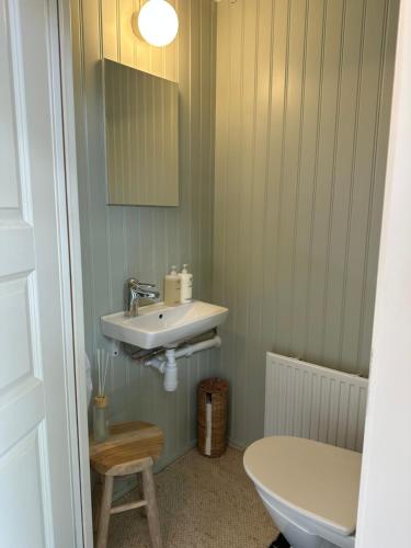 a bathroom with a sink and a toilet at Orangeriet Björkelund in Skövde
