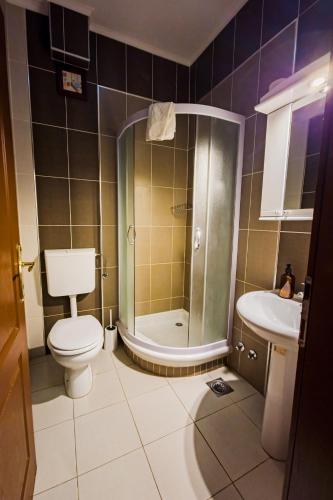 a bathroom with a toilet and a shower and a sink at Villa Gurman 024 in Bačka Topola