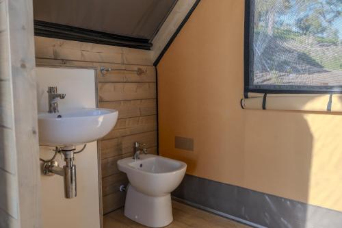 a bathroom with a sink and a toilet at Glamping Pagliaini in Riparbella
