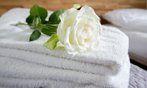 a white rose sitting on top of towels at Grimstad Vertshus in Grimstad