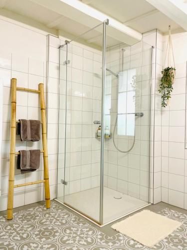 a shower with a glass door in a bathroom at Appartement "Suite Seeliebe" in Tägerwilen