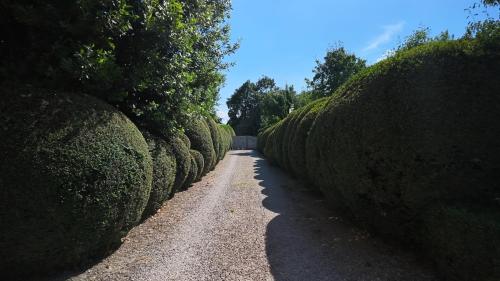 a row of hedges on a dirt road at Casa Rifugio Parma in Basilicanova