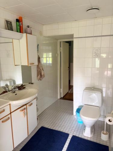 a bathroom with a toilet and a sink at Kunnarainen in Sudsaloö