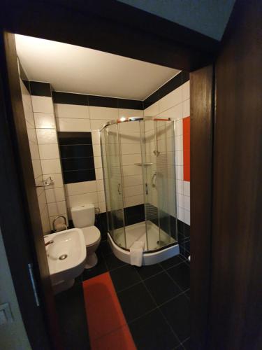 a bathroom with a toilet and a glass shower at Dwór Zielone Wzgórza in Bukowno