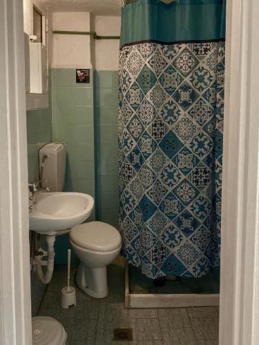 a bathroom with a toilet and a shower curtain at Irini rooms Olympiada in Olympiada