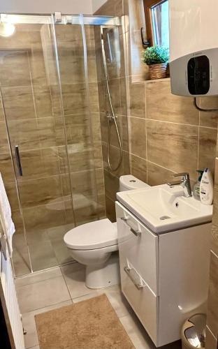 a bathroom with a shower and a toilet and a sink at Green-in in Jaklovce
