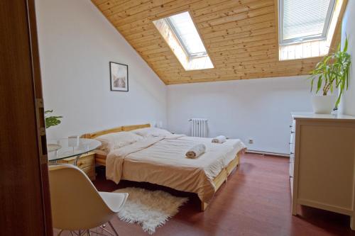 a bedroom with two beds and a table and two windows at U Certa in Čerčany